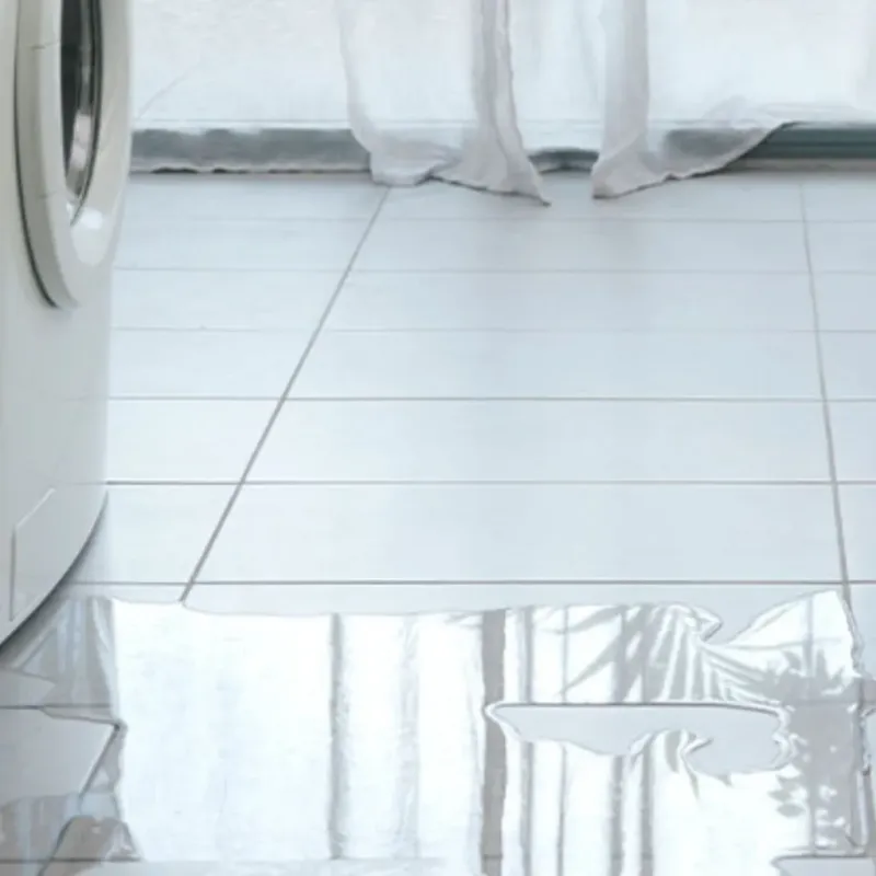 Appliance Leak Cleanup in Washougal, WA